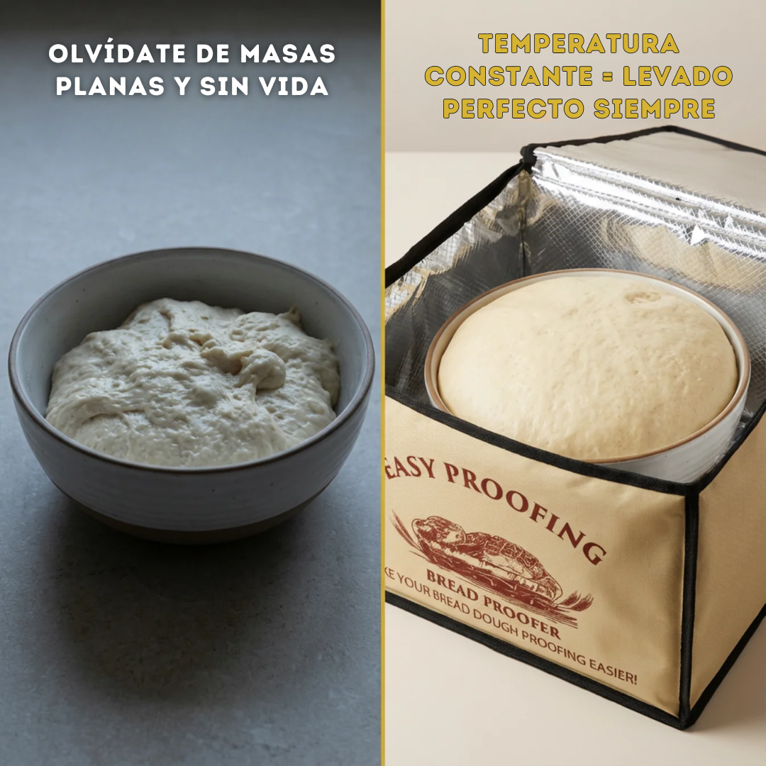 Fermentador de Masa Profesional